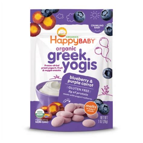 greek yogis|Blueberry & Purple Carrot Greek Yogis